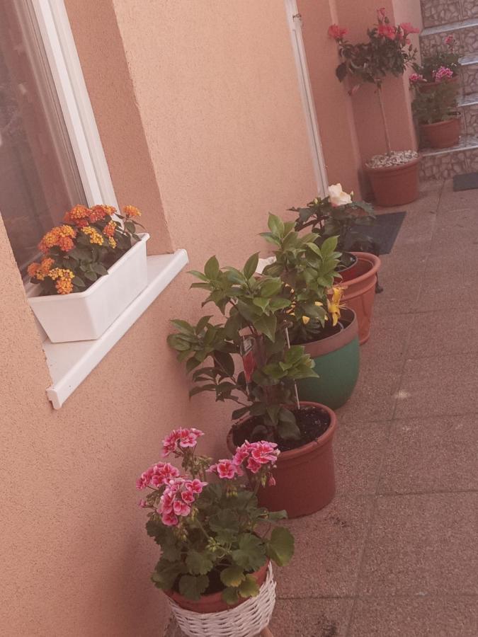 Erna apartman Zalakaros Exteriör bild